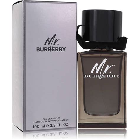 burberry cologne tj maxx|mr burberry cologne 2017.